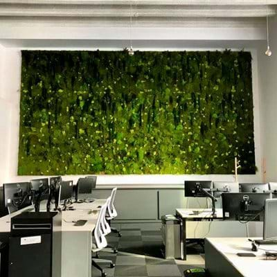 bespoke preserved moss wall